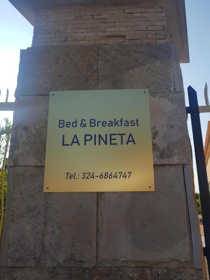 B&B La Pineta Quasani Eksteriør bilde